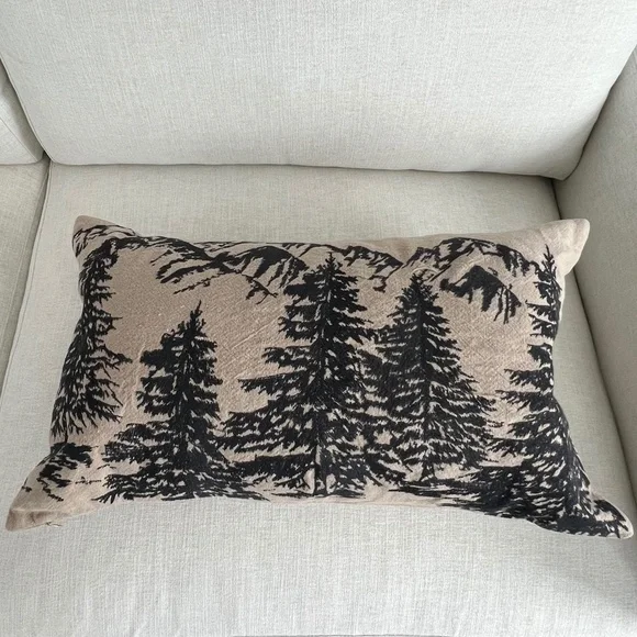 Pottery Barn Tan and Black Holiday Pillow - Picture 6 of 6
